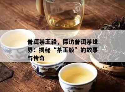 普洱茶王毅，探访普洱茶世界：揭秘“茶王毅”的故事与传奇