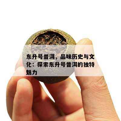 东升号普洱，品味历史与文化：探索东升号普洱的特别魅力