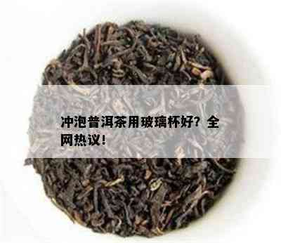 冲泡普洱茶用玻璃杯好？全网热议！