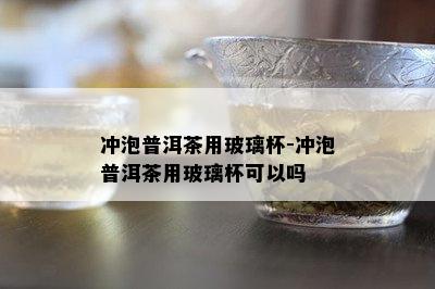 冲泡普洱茶用玻璃杯-冲泡普洱茶用玻璃杯可以吗