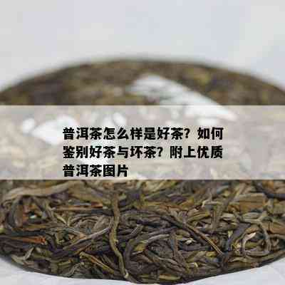 普洱茶怎么样是好茶？怎样鉴别好茶与坏茶？附上优质普洱茶图片