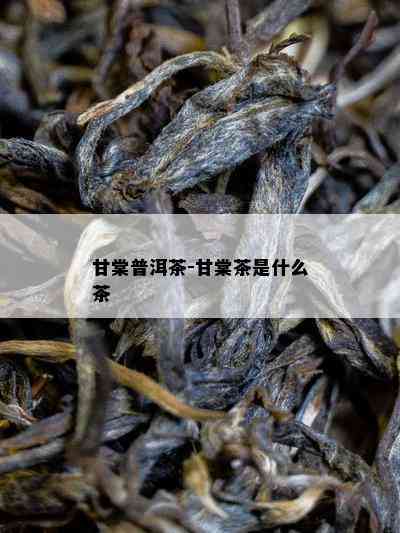 甘棠普洱茶-甘棠茶是什么茶