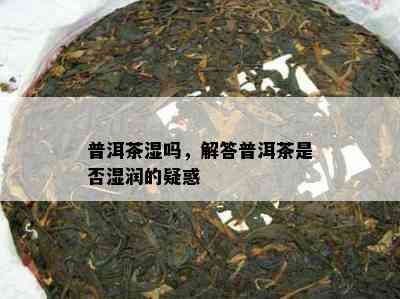 普洱茶湿吗，解答普洱茶是否湿润的疑惑