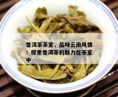 普洱茶茶室，品味云南风情：探索普洱茶的魅力在茶室中