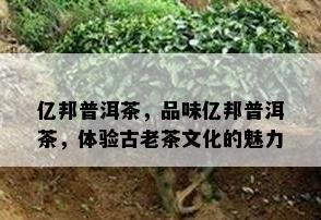 亿邦普洱茶，品味亿邦普洱茶，体验古老茶文化的魅力