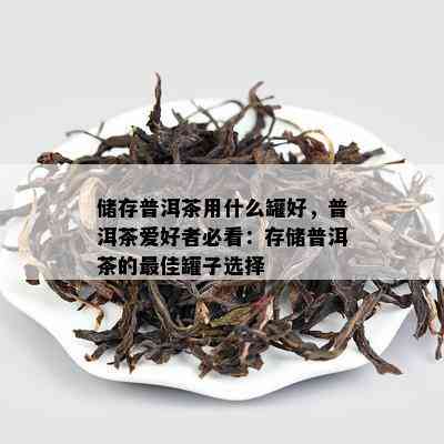 储存普洱茶用什么罐好，普洱茶爱好者必看：存储普洱茶的更佳罐子选择