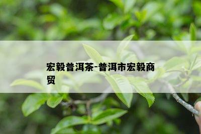 宏毅普洱茶-普洱市宏毅商贸