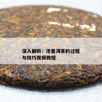 深入解析：泡普洱茶的过程与技巧视频教程