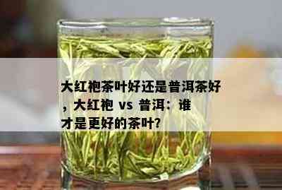 大红袍茶叶好还是普洱茶好，大红袍 vs 普洱：谁才是更好的茶叶？