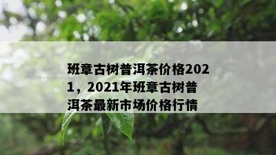 班章古树普洱茶价格2021，2021年班章古树普洱茶最新市场价格行情