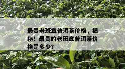 最贵老班章普洱茶价格，揭秘！最贵的老班章普洱茶价格是多少？