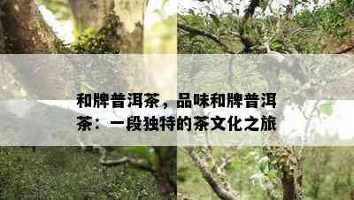 和牌普洱茶，品味和牌普洱茶：一段特别的茶文化之旅