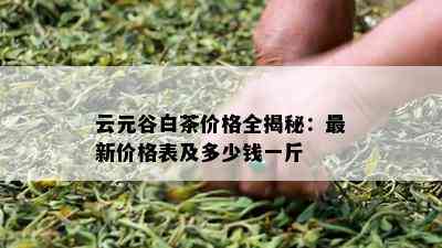 云元谷白茶价格全揭秘：最新价格表及多少钱一斤