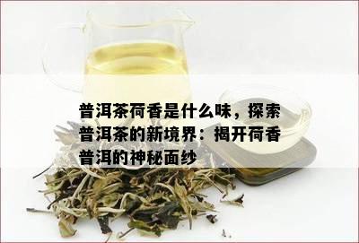 普洱茶荷香是什么味，探索普洱茶的新境界：揭开荷香普洱的神秘面纱