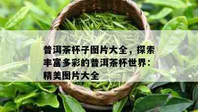 普洱茶杯子图片大全，探索丰富多彩的普洱茶杯世界：精美图片大全