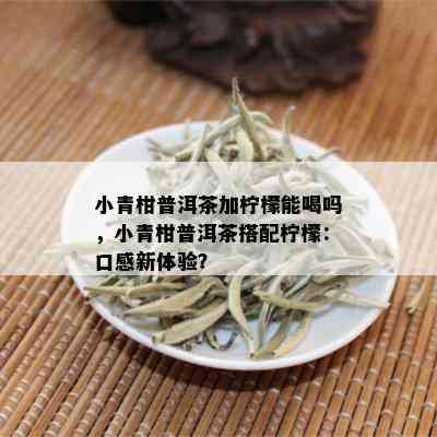 小青柑普洱茶加柠檬能喝吗，小青柑普洱茶搭配柠檬：口感新体验？