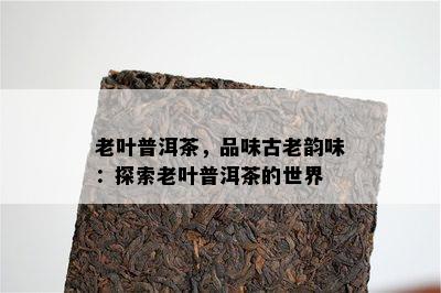 老叶普洱茶，品味古老韵味：探索老叶普洱茶的世界