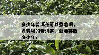 多少年普洱茶可以煮着喝，煮着喝的普洱茶，需要存放多少年？