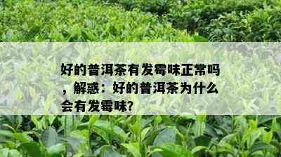 好的普洱茶有发霉味正常吗，解惑：好的普洱茶为什么会有发霉味？