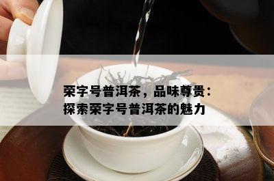 荣字号普洱茶，品味尊贵：探索荣字号普洱茶的魅力