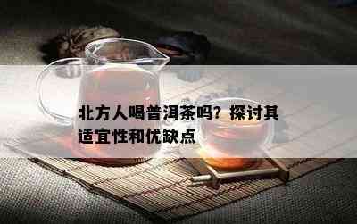 北方人喝普洱茶吗？探讨其适宜性和优缺点