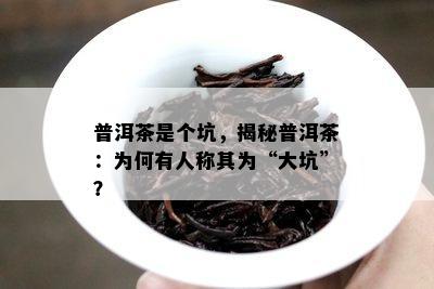 普洱茶是个坑，揭秘普洱茶：为何有人称其为“大坑”？