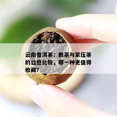 云南普洱茶：散茶与紧压茶的口感比较，哪一种更值得收藏？