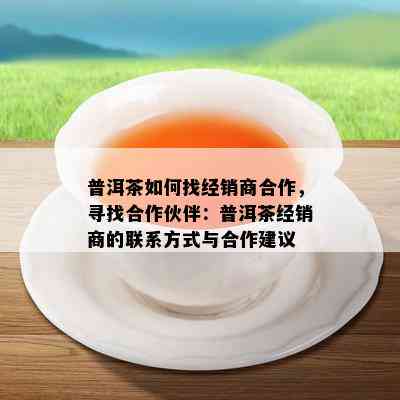 普洱茶怎样找经销商合作，寻找合作伙伴：普洱茶经销商的联系方法与合作建议