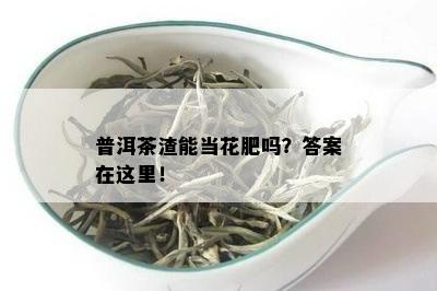 普洱茶渣能当花肥吗？答案在这里！