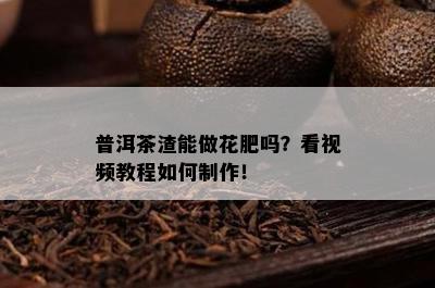 普洱茶渣能做花肥吗？看视频教程如何制作！