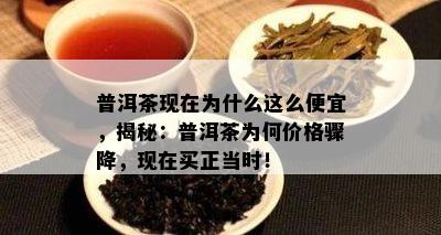 普洱茶现在为什么这么便宜，揭秘：普洱茶为何价格骤降，现在买正当时！