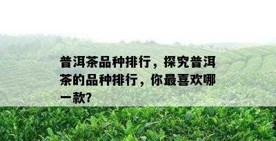 普洱茶品种排行，探究普洱茶的品种排行，你最喜欢哪一款？