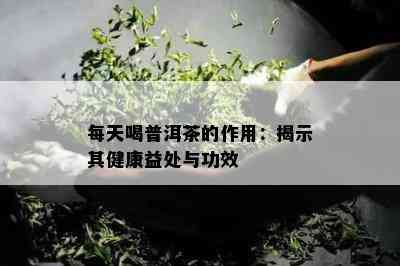 每天喝普洱茶的作用：揭示其健康益处与功效