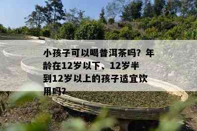 小孩子可以喝普洱茶吗？年龄在12岁以下、12岁半到12岁以上的孩子适宜饮用吗？