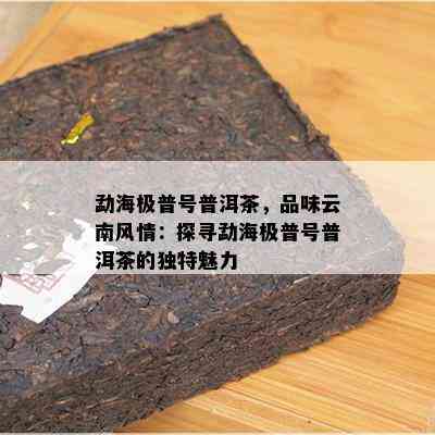 勐海极普号普洱茶，品味云南风情：探寻勐海极普号普洱茶的特别魅力