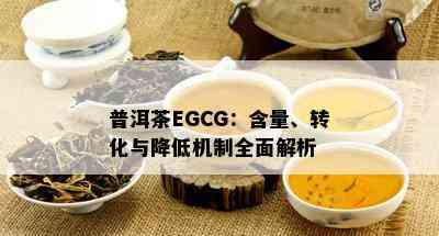 普洱茶EGCG：含量、转化与减少机制全面解析