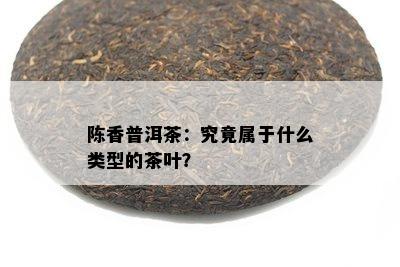 陈香普洱茶：究竟属于什么类型的茶叶？