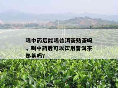 喝中后能喝普洱茶熟茶吗，喝中后可以饮用普洱茶熟茶吗？