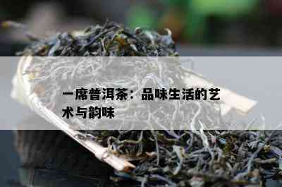 一席普洱茶：品味生活的艺术与韵味