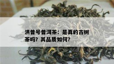 洪普号普洱茶：是真的古树茶吗？其品质怎样？