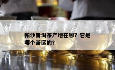 帕沙普洱茶产地在哪？它是哪个茶区的？