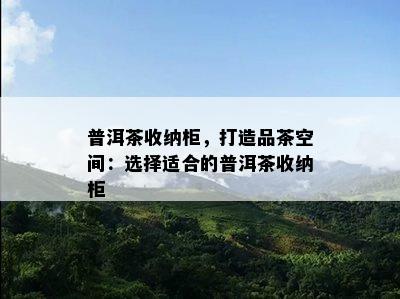 普洱茶收纳柜，打造品茶空间：选择适合的普洱茶收纳柜