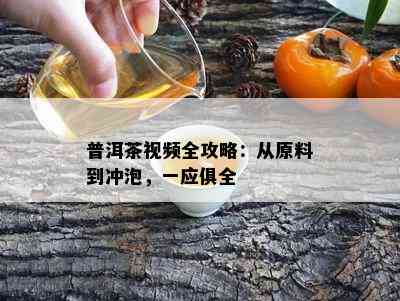 普洱茶视频全攻略：从原料到冲泡，一应俱全