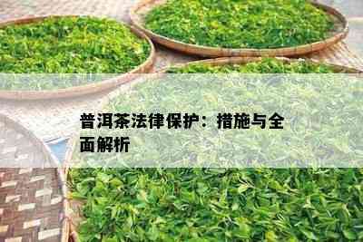 普洱茶法律保护：措施与全面解析