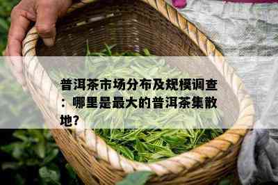 普洱茶市场分布及规模调查：哪里是更大的普洱茶集散地？