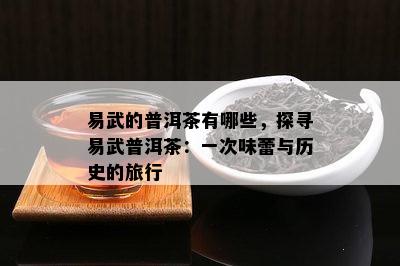 易武的普洱茶有哪些，探寻易武普洱茶：一次味蕾与历史的旅行