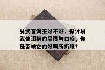 易武普洱茶好不好，探讨易武普洱茶的品质与口感，你是否被它的好喝所折服？