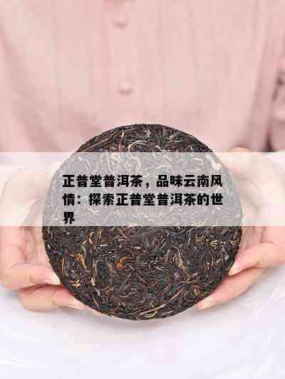 正普堂普洱茶，品味云南风情：探索正普堂普洱茶的世界