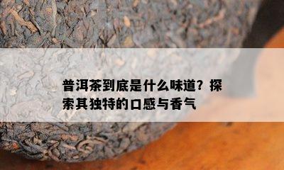 普洱茶到底是什么味道？探索其独特的口感与香气