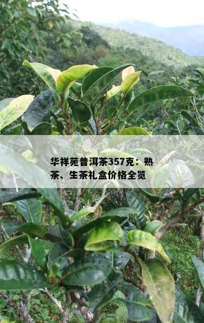 华祥苑普洱茶357克：熟茶、生茶礼盒价格全览